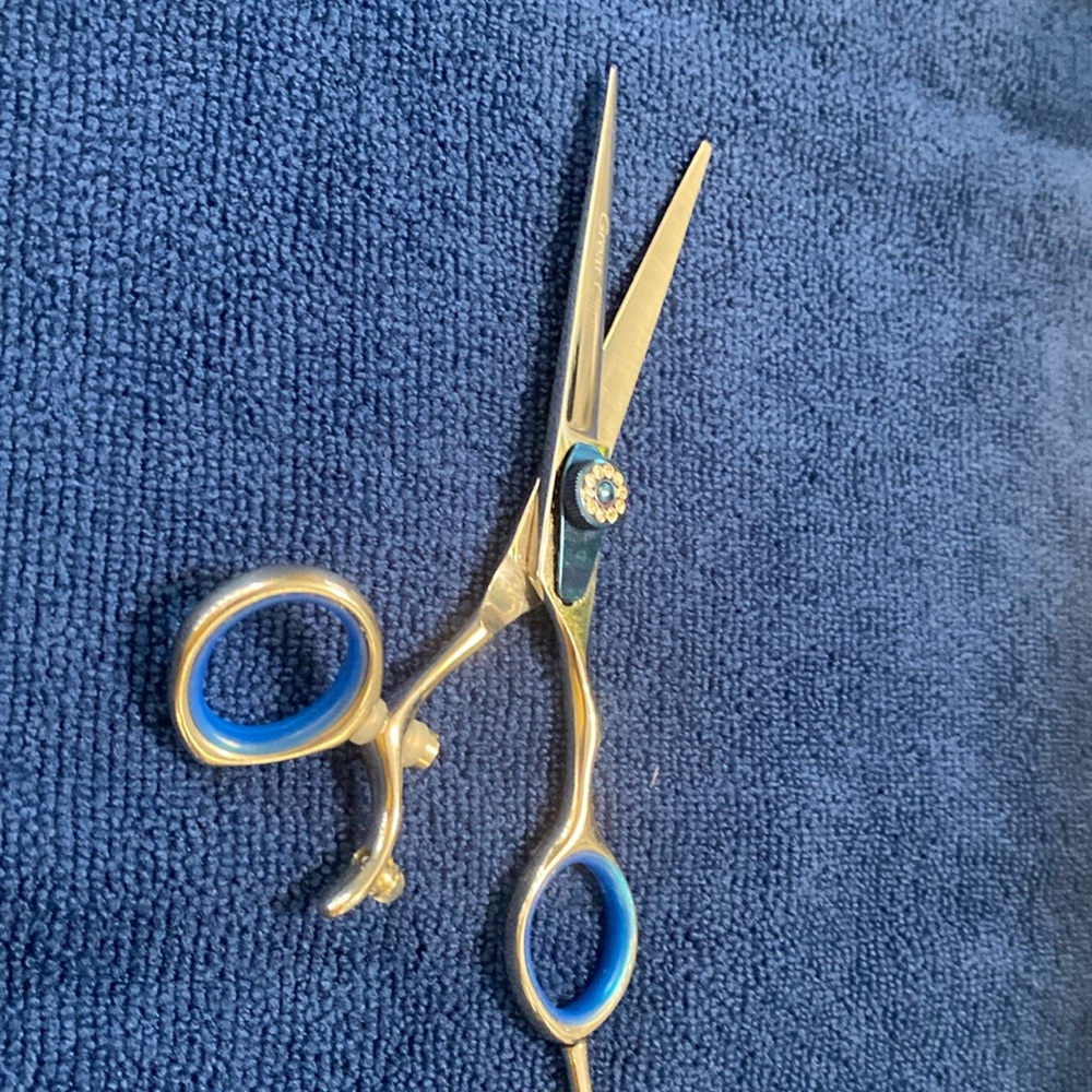 - Hairstylist shears with bling and a swivel